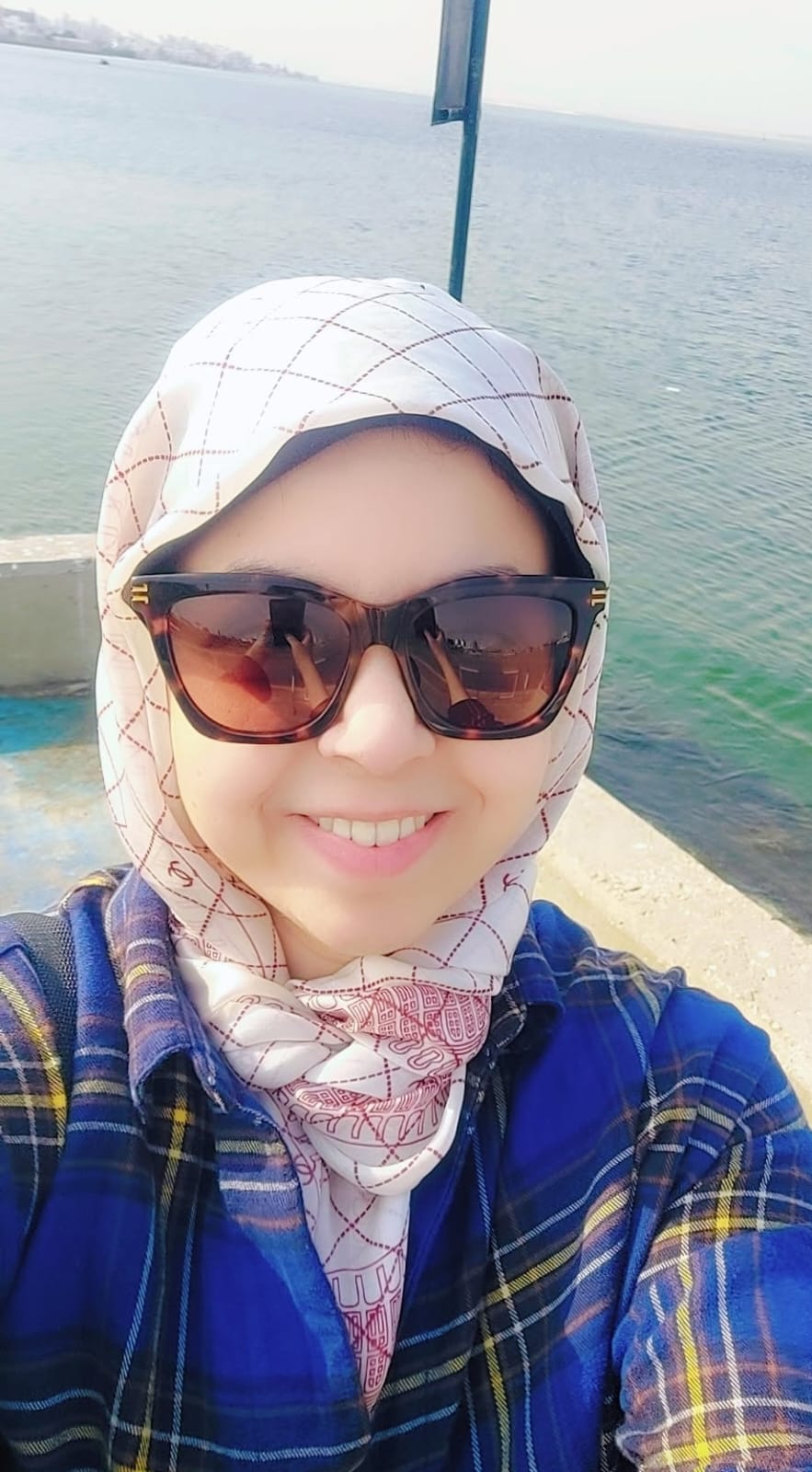 د / سماح حسين